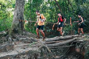 BIB: 
                            <button type="button" onclick="openModal(27807827)" class="btn btn-primary btn-sm float-right btn-popup" data-toggle="modal" data-target=".modal-high-quality">
                        <i class="fas fa-shopping-cart"></i> Add to Cart
                    </button>
                                            <button type="button" onclick="isThisMe(27807827, true)" class="btn btn-success btn-sm float-right btn-popup btn-isme hidden" data-toggle="tooltip" data-placement="bottom" title="นี่คือรูปของคุณใช่ไหม คลิกที่นี่เพื่อเอาเข้าอัลบั้ม">
                        <i class="fas fa-plus"></i> Add to album
                    </button>
                    <button type="button" onclick="isThisMe(27807827, false)" class="btn btn-warning btn-sm float-right btn-popup btn-isnotme hidden">
                        <i class="fas fa-ban"></i> Remove from album
                    </button>